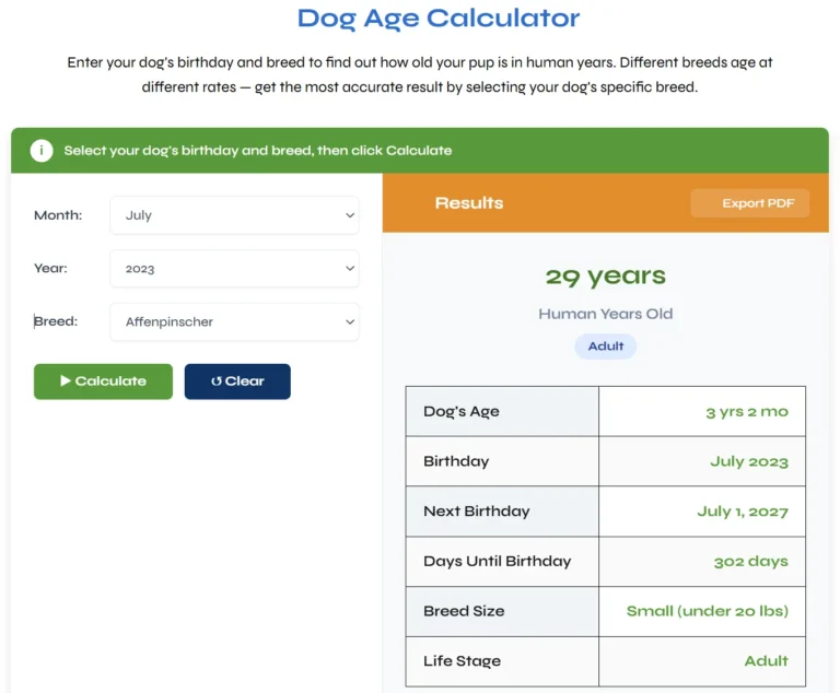 Dog Age Calculator – Calculate Your Dog’s Age in Human Years